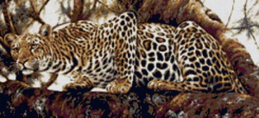 591 - животные - предпросмотр