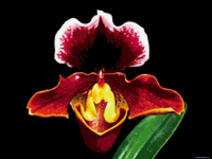 вариант - предпросмотр