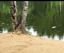 Схема вышивки «№112102»