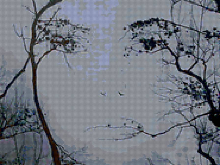 живая природа - природа - предпросмотр