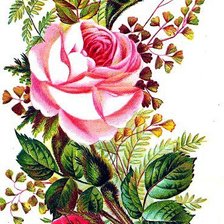Схема вышивки «Букет с розами»