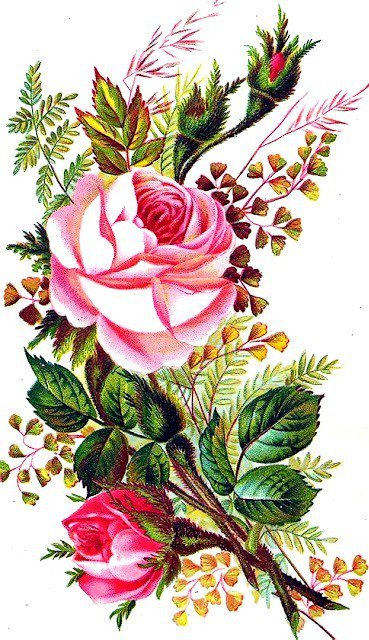 Букет с розами - роза, букет, розы, душистые розы, цветы, лепестки - оригинал