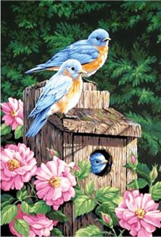 Гнёздышко - птица, розы, цветы, весна, птицы, розочки, скворечник, гнездо - оригинал