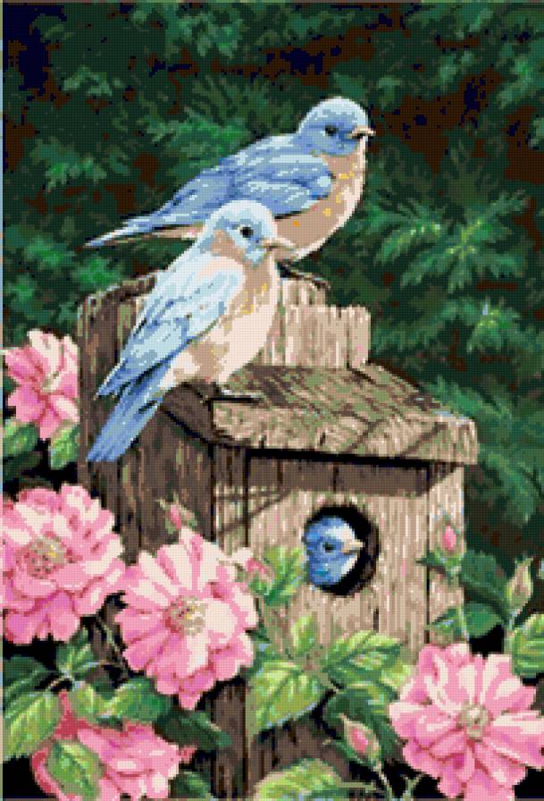 Гнёздышко - розы, птицы, гнездо, весна, розочки, птица, цветы, скворечник - предпросмотр