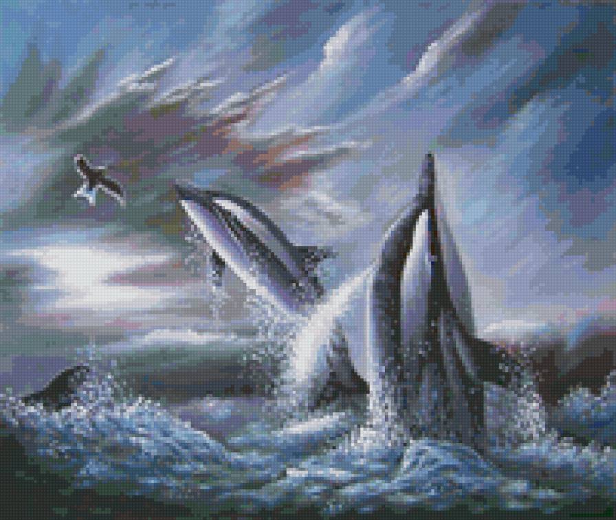 дельфины - животные - предпросмотр