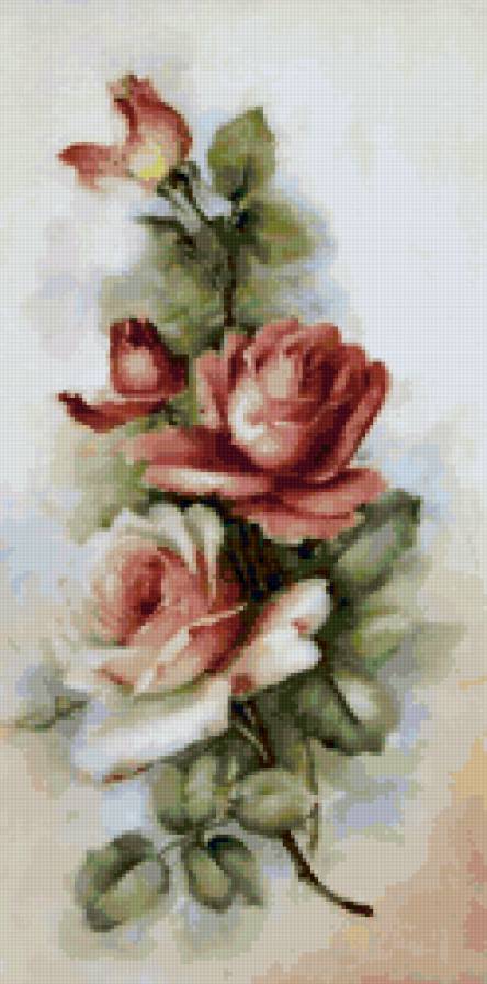 розы - винтаж, цветы, ретро, розы - предпросмотр