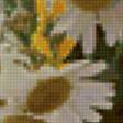 Предпросмотр схемы вышивки «ромашки» (№112596)