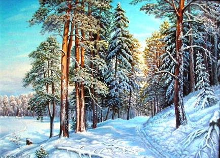 Зимний лес - зима, лес, снег, ели, пейзаж, природа, зимняя картина, сосны - оригинал