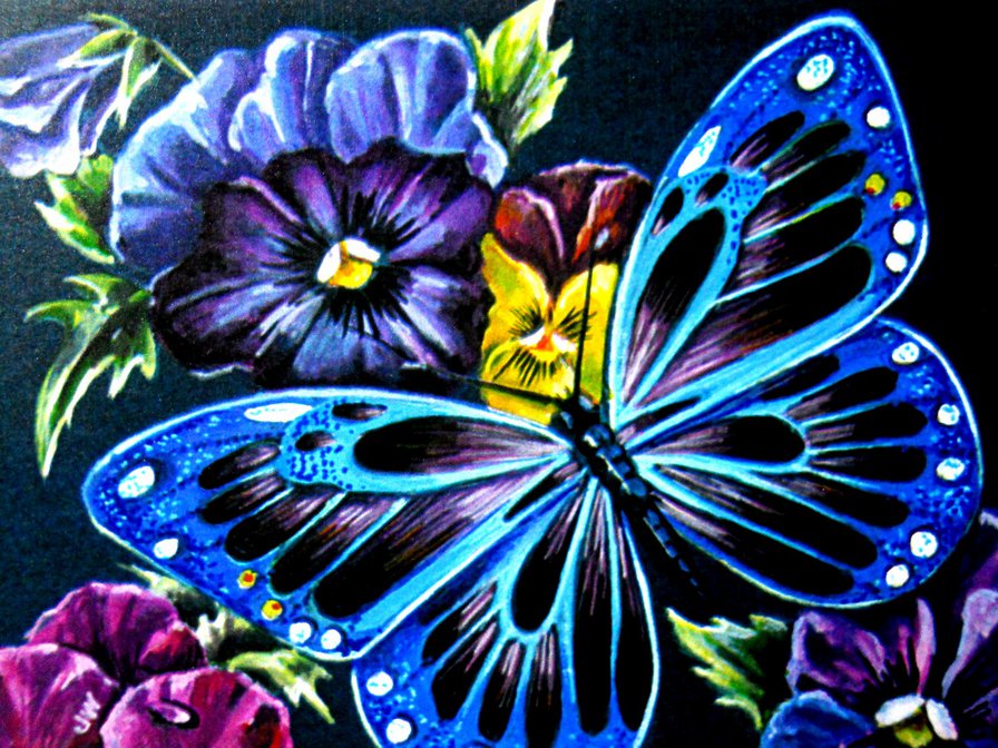 Бабочки и анютки - фиалки, цветы и бабочки, анютины глазки, анютки, бабочка, цветы - оригинал