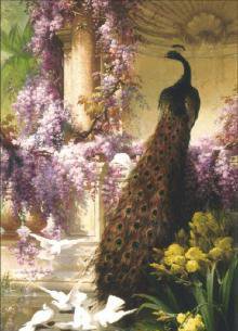 павлин - оригинал