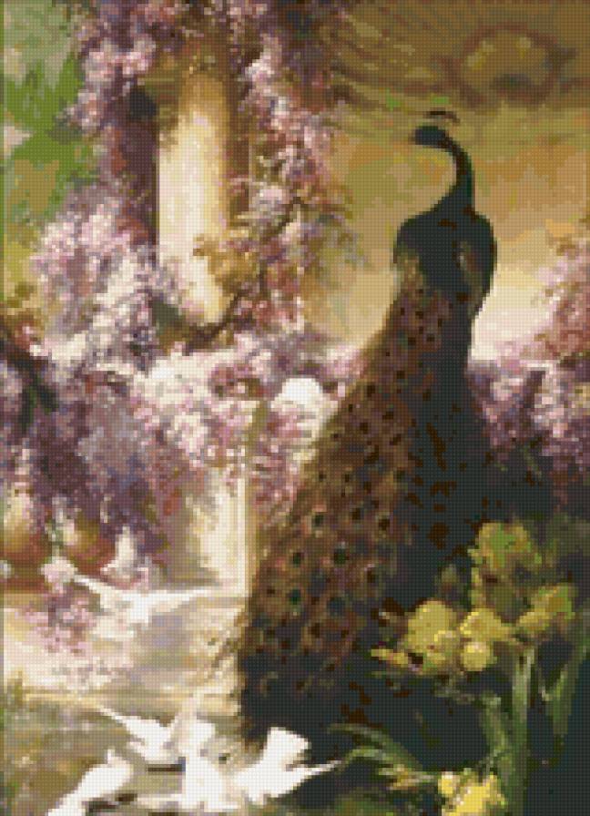 павлин - предпросмотр