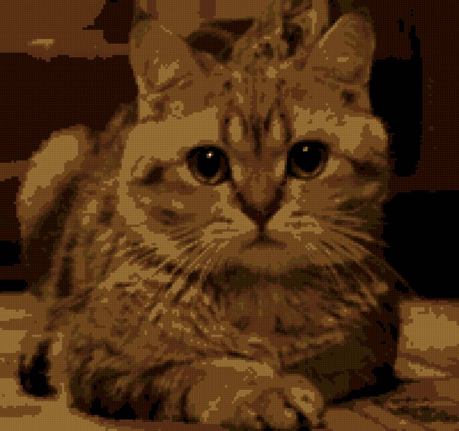 барсик - предпросмотр