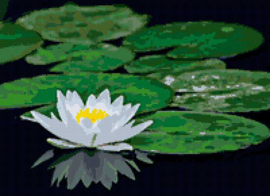 на черном фоне - предпросмотр