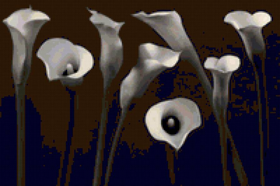 цветы - цветы - предпросмотр