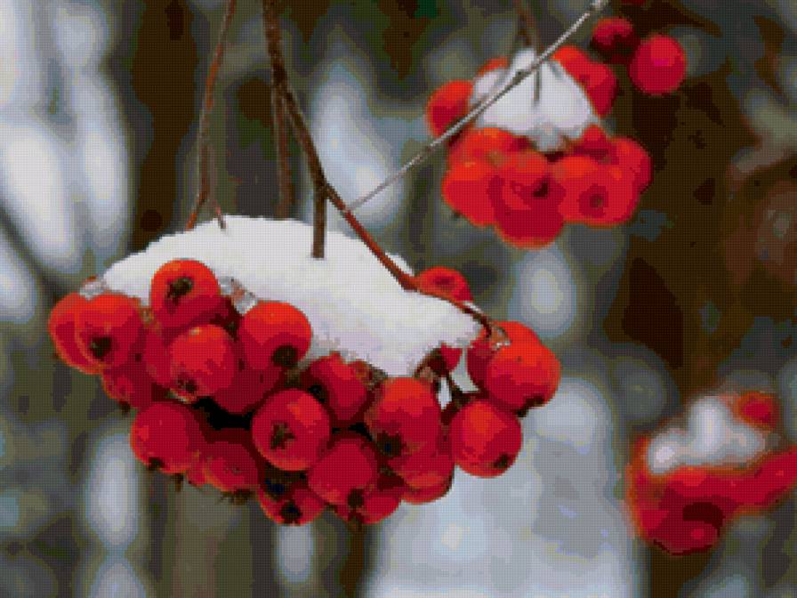 рябинка - рябинка - предпросмотр