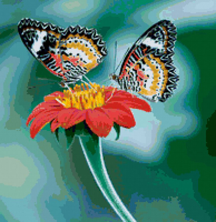 бабочки - лето, цветы и бабочки, цветок, бабочки, природа - предпросмотр