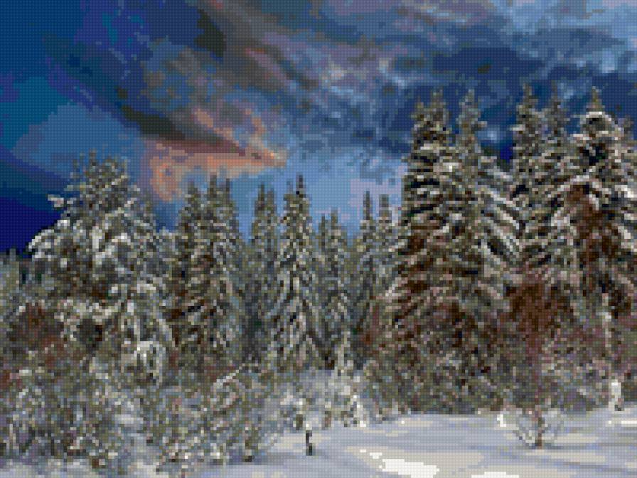 ёлки - иней, елки, снег, зима, лес, деревья, природа, сугроб - предпросмотр