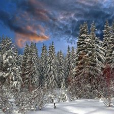 Схема вышивки «ёлки»