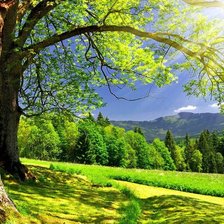 Схема вышивки «Райское место»