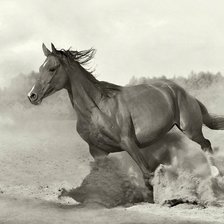 Схема вышивки «Лошадка»