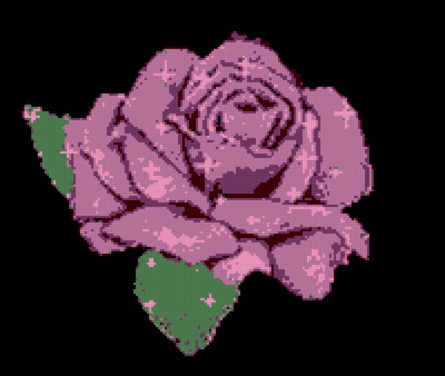 №113310 - предпросмотр