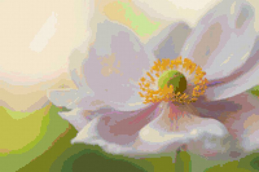 Лотос - цветок, лотос - предпросмотр