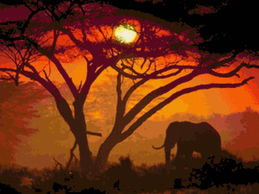 Слон - африка, слон, закат - предпросмотр