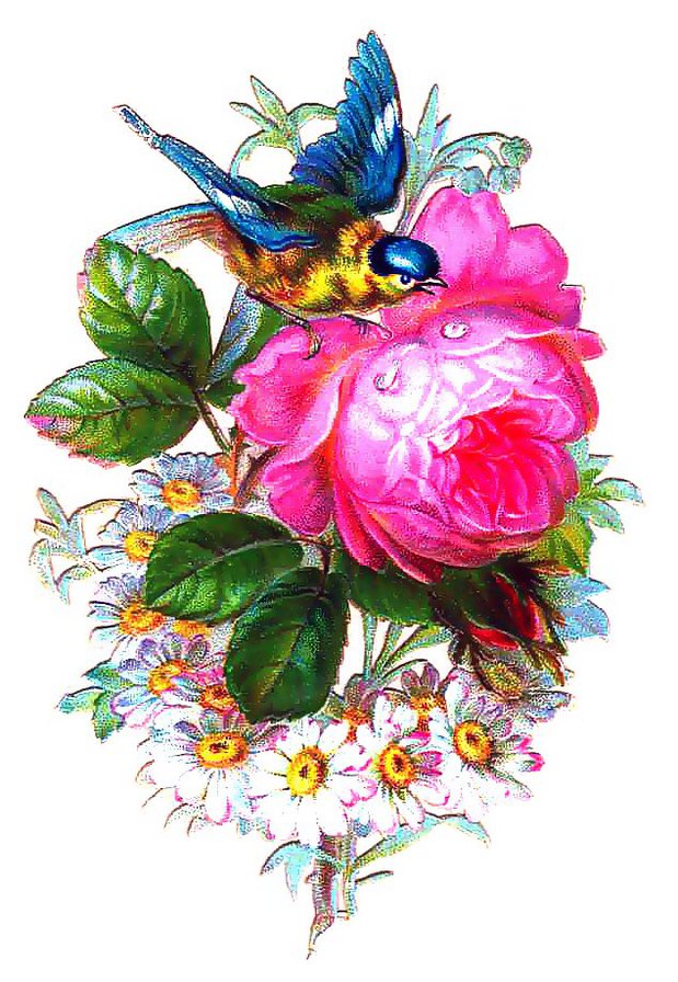 птичка на розе - птичка, винтаж, цветы, цветок - оригинал