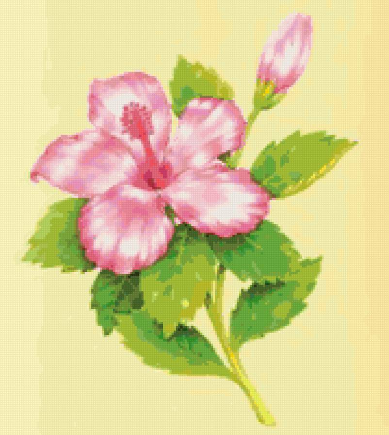 цветок - цветок - предпросмотр