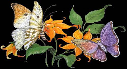 на ченом фонер - бабочки, цветы - оригинал