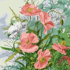 Схема вышивки «дикий мак»