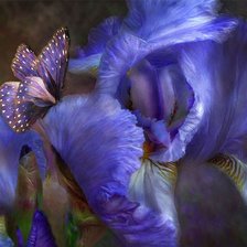 Оригинал схемы вышивки «ирис 2» (№113591)