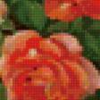 Предпросмотр схемы вышивки «розы под яблонней» (№113613)