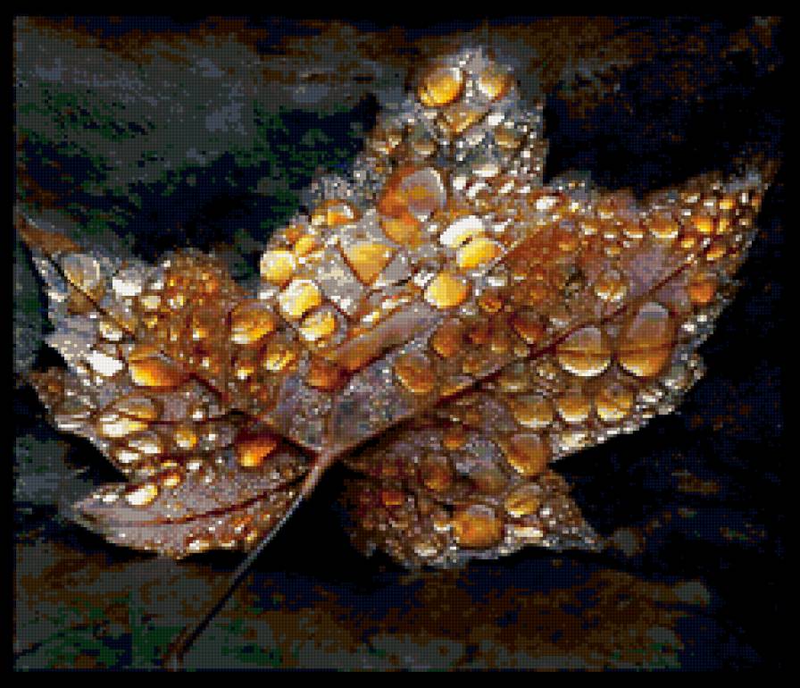 роса на осеннем листе - лист, осень - предпросмотр