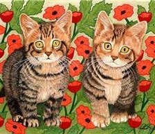 два котенка