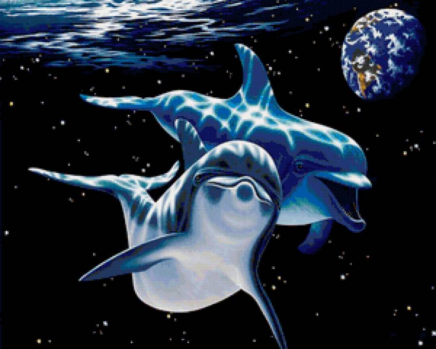 Дельфины - дельфины, подводный мир, животные - предпросмотр