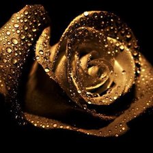 Схема вышивки «на черном фоне»