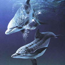 Схема вышивки «№113930»