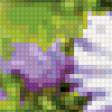 Предпросмотр схемы вышивки «Бабочки и цветы» (№114156)