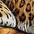 Предпросмотр схемы вышивки «леопард отдыхает» (№114191)