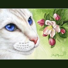 Схема вышивки «Кот и цветы»