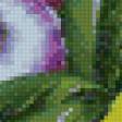 Предпросмотр схемы вышивки «анютины глазки» (№114225)