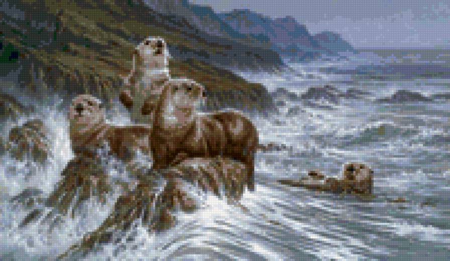 выдры - животные - предпросмотр