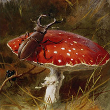 Схема вышивки «мухомор и жук»