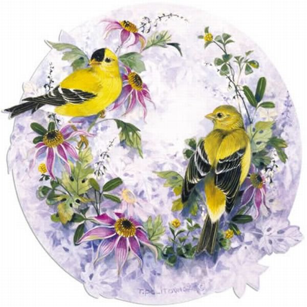 птички - птицы, цветы - оригинал
