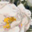 Предпросмотр схемы вышивки «натюрморт» (№114864)