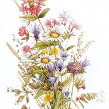 букет полевых цветов с бабочкой
