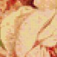 Предпросмотр схемы вышивки «Розы» (№114890)