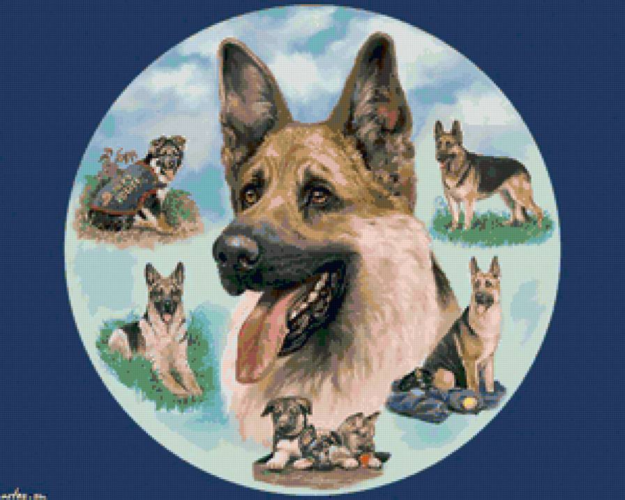 серия "верный друг" - животные, собаки - предпросмотр