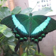 Схема вышивки «№114930»